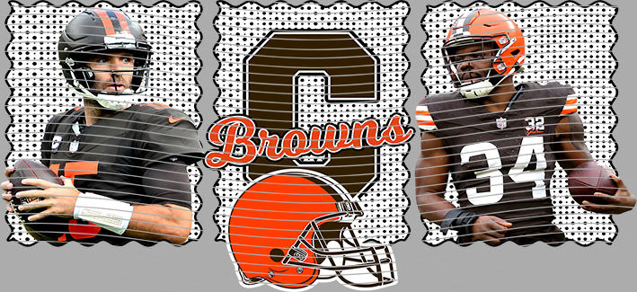 16oz team-NFL 3576